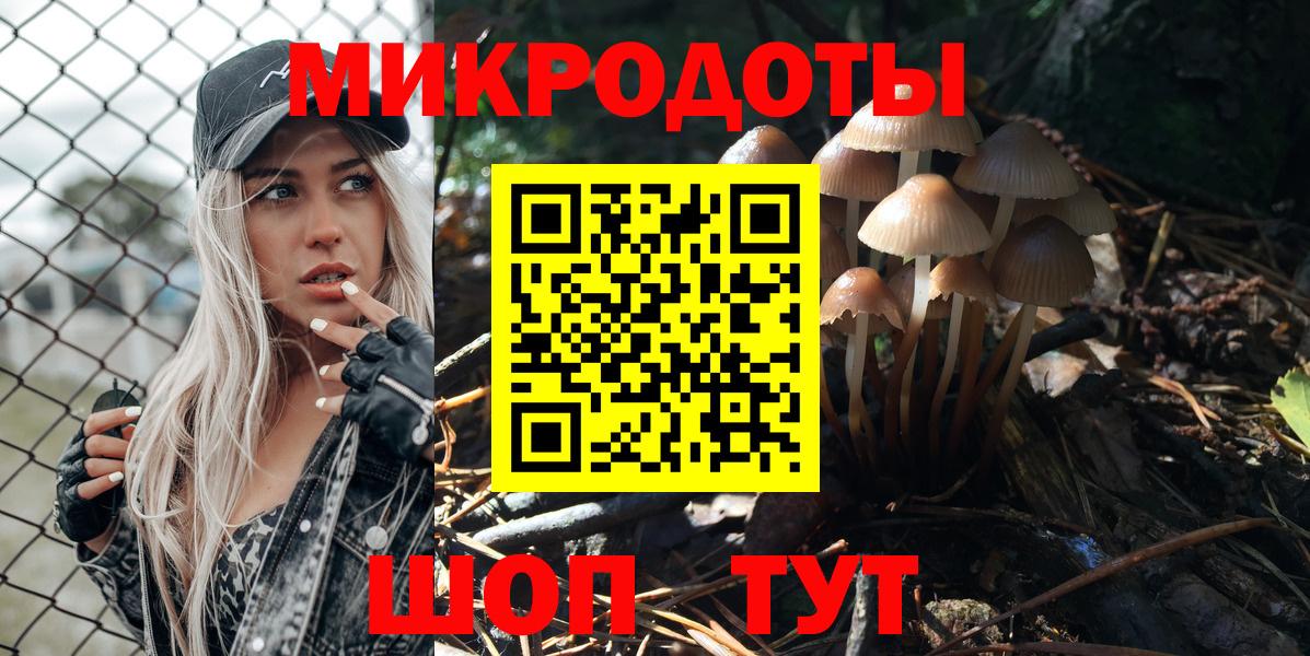 Галлюциногенные грибы Psilocybe Северск