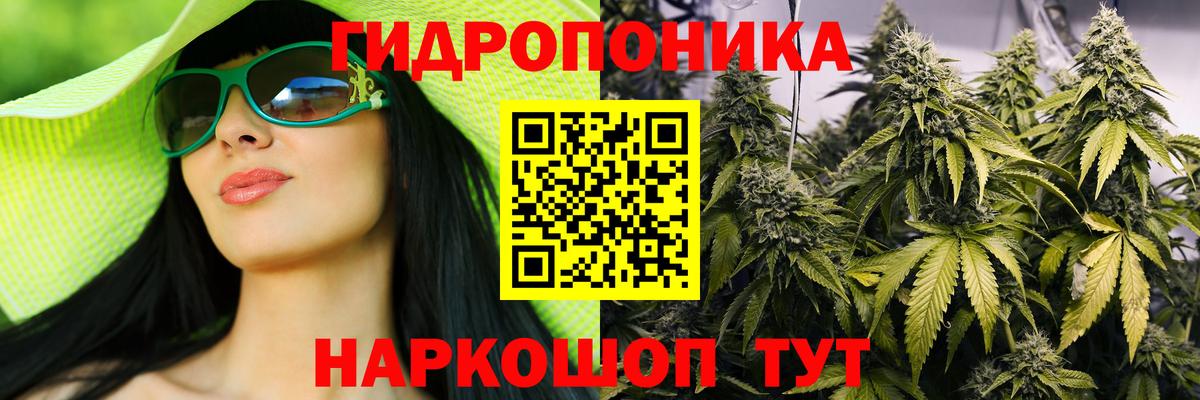 Шишки марихуана LSD WEED  Марихуана конопля  Вход с VPN  Северск 